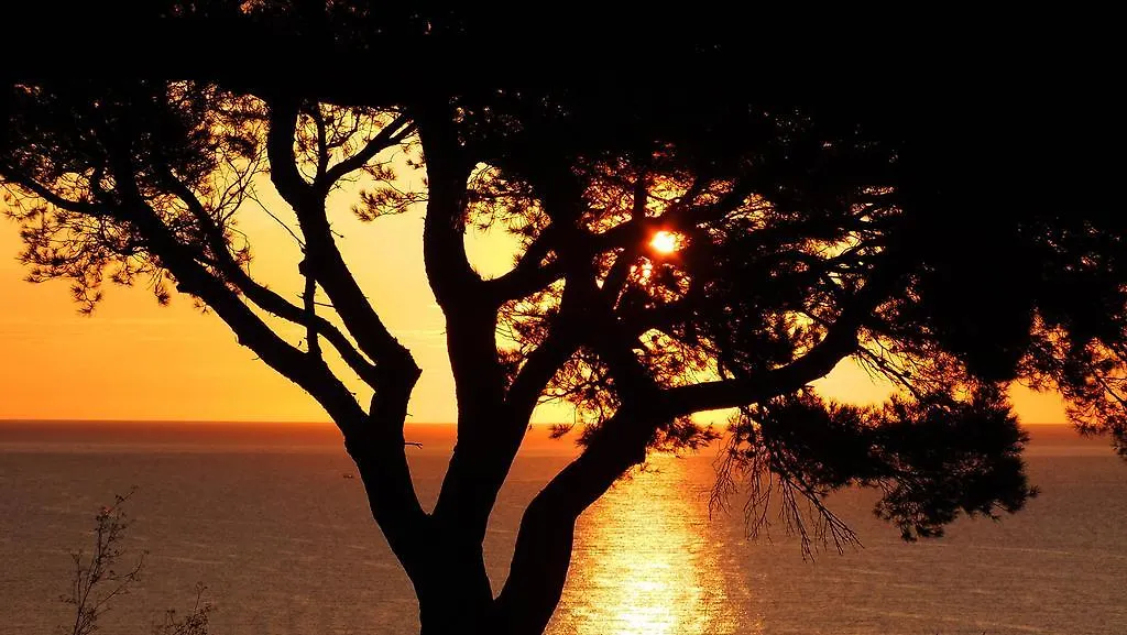 Canyelles Platja Roses Hotel